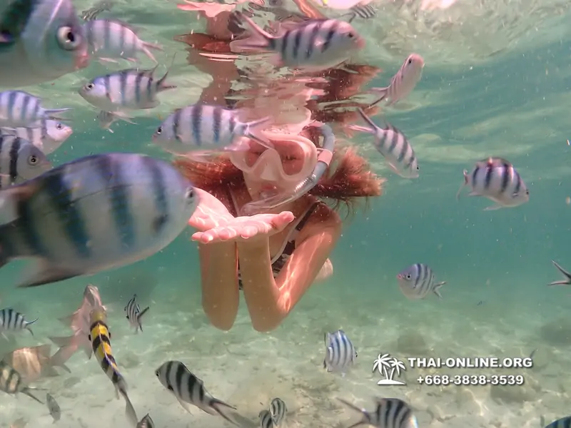 Underwater Odyssey snorkeling tour from Pattaya Thailand photo 18429