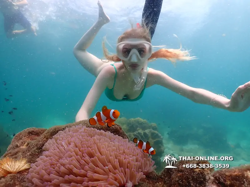 Underwater Odyssey snorkeling tour from Pattaya Thailand photo 18329