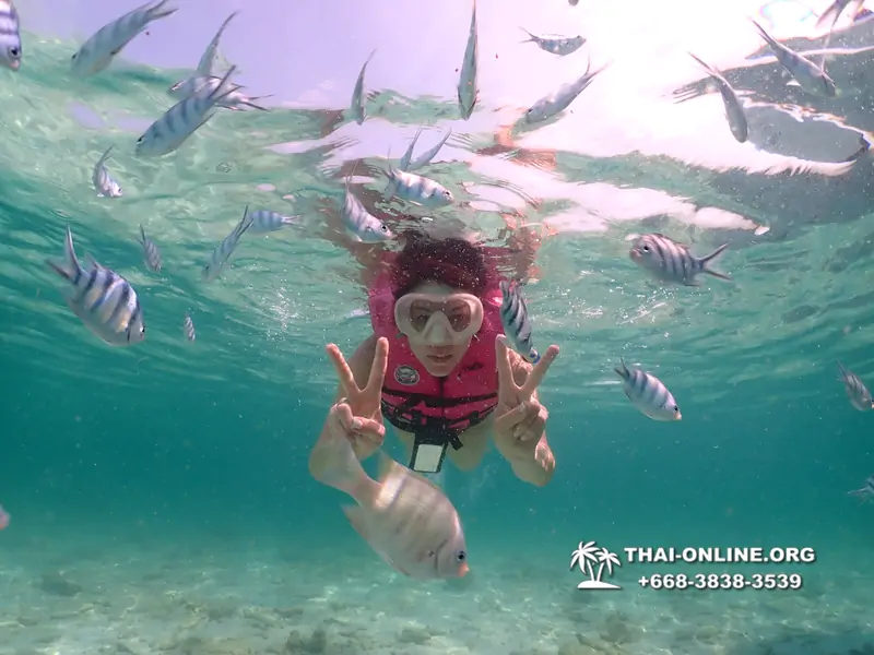 Underwater Odyssey snorkeling tour from Pattaya Thailand photo 18368