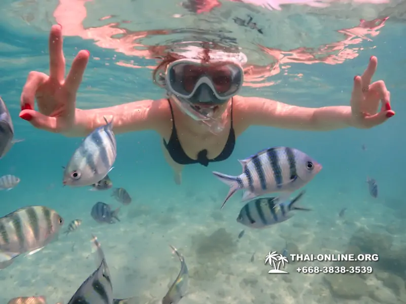 Underwater Odyssey snorkeling tour from Pattaya Thailand photo 14599