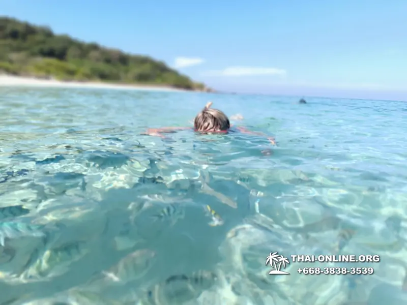 Underwater Odyssey snorkeling tour from Pattaya Thailand photo 10783