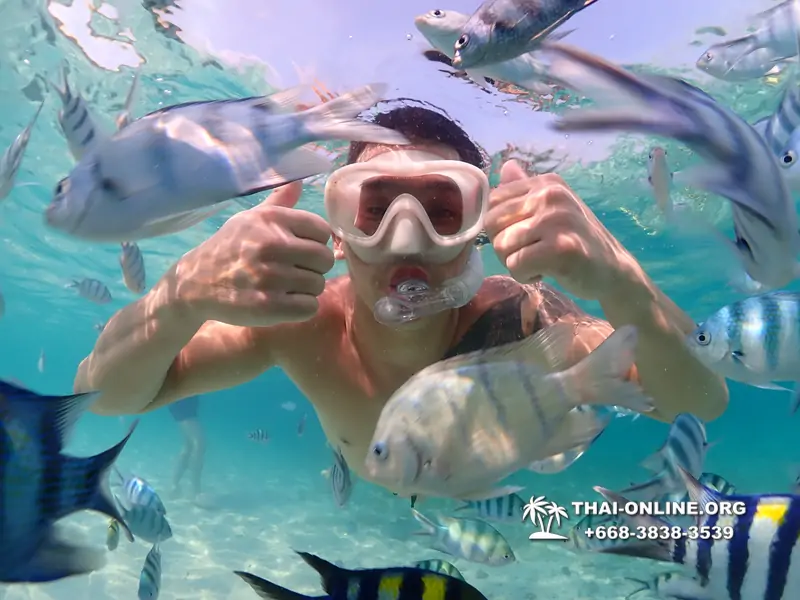 Underwater Odyssey snorkeling excursion Pattaya Thailand photo 11274