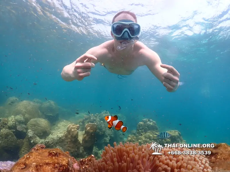 Underwater Odyssey snorkeling tour from Pattaya Thailand photo 14310