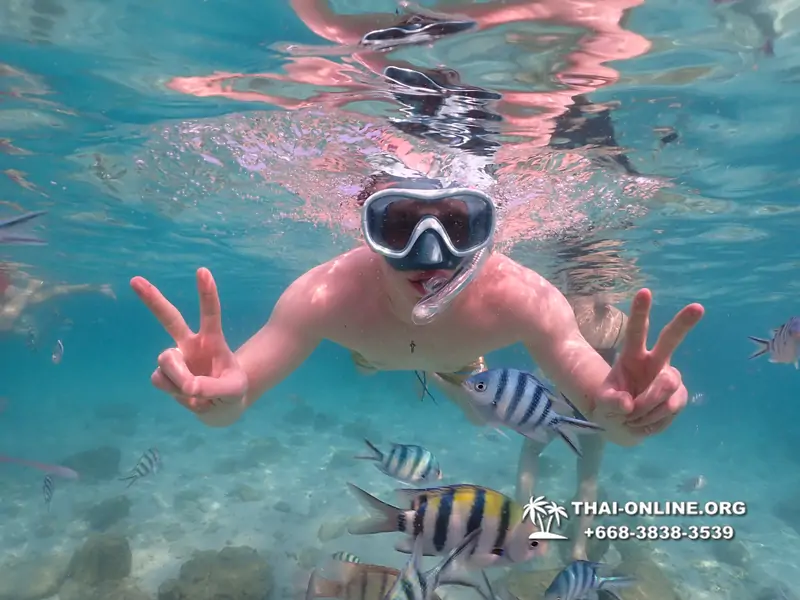 Underwater Odyssey snorkeling tour from Pattaya Thailand photo 14149
