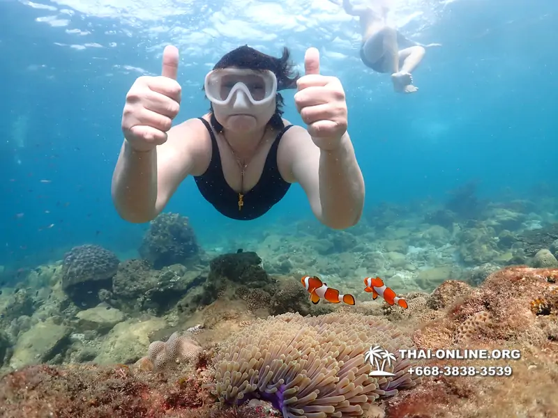 Underwater Odyssey snorkeling excursion Pattaya Thailand photo 11452