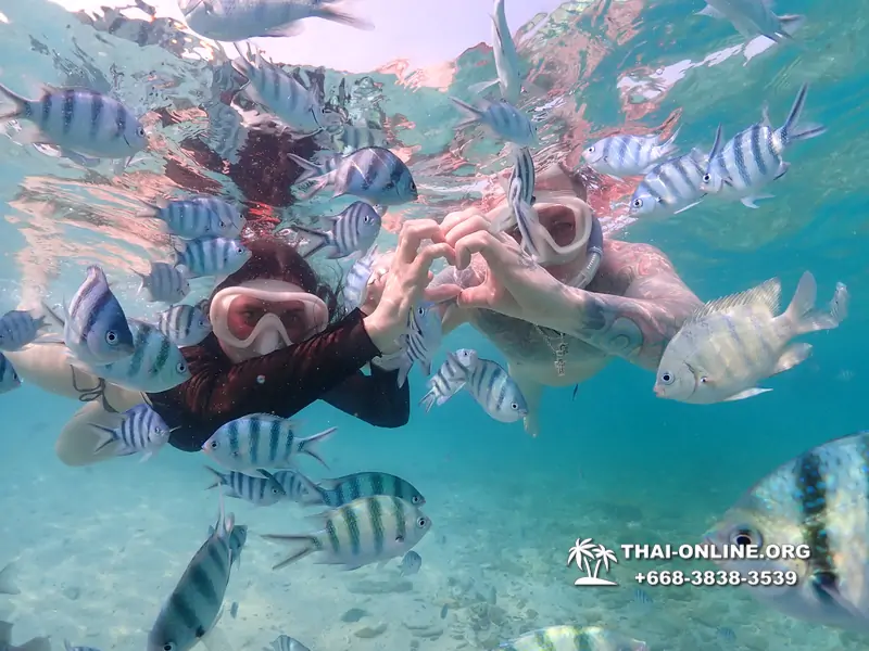 Underwater Odyssey snorkeling excursion Pattaya Thailand photo 11198