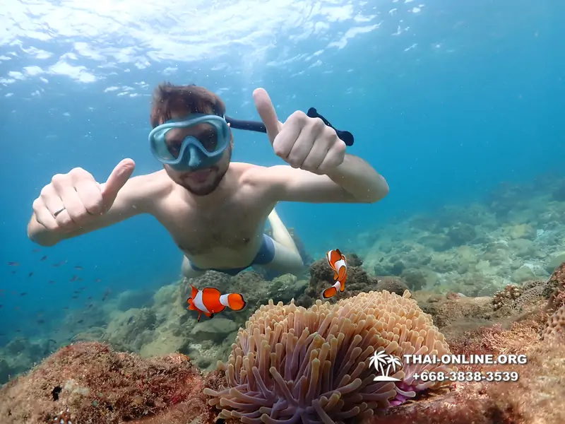 Underwater Odyssey snorkeling excursion Pattaya Thailand photo 11339