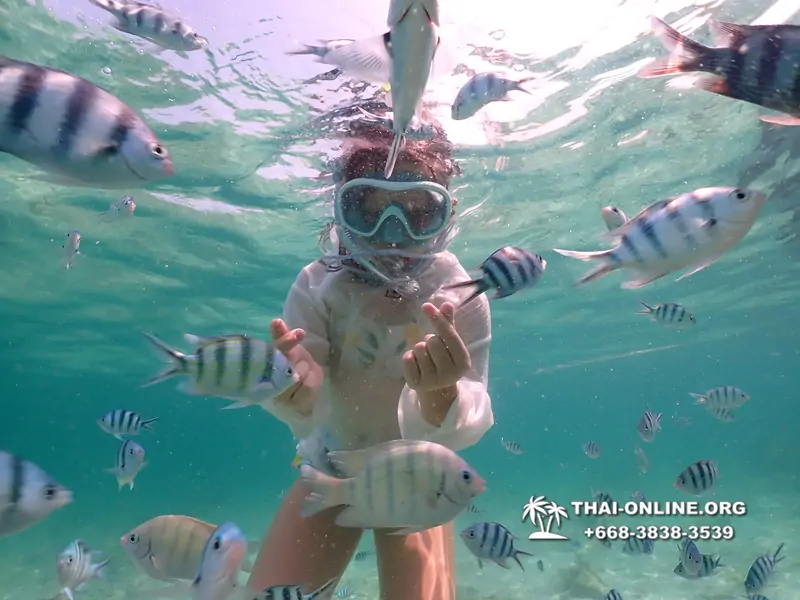 Underwater Odyssey snorkeling tour from Pattaya Thailand photo 18267