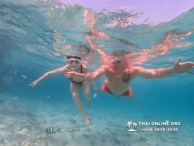 Underwater Odyssey snorkeling excursion Pattaya Thailand photo 11042