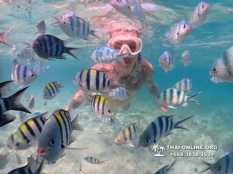 Underwater Odyssey snorkeling excursion Pattaya Thailand photo 11226