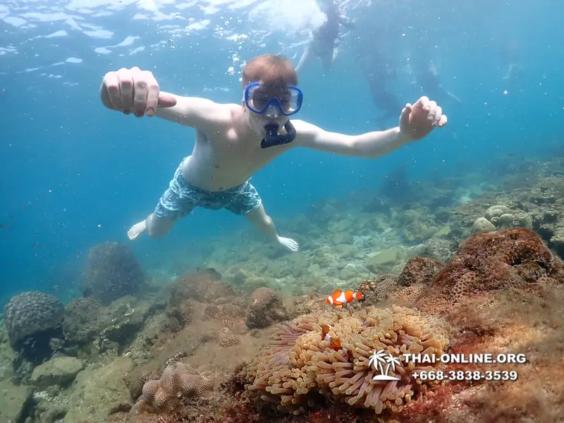 Underwater Odyssey snorkeling excursion Pattaya Thailand photo 11334