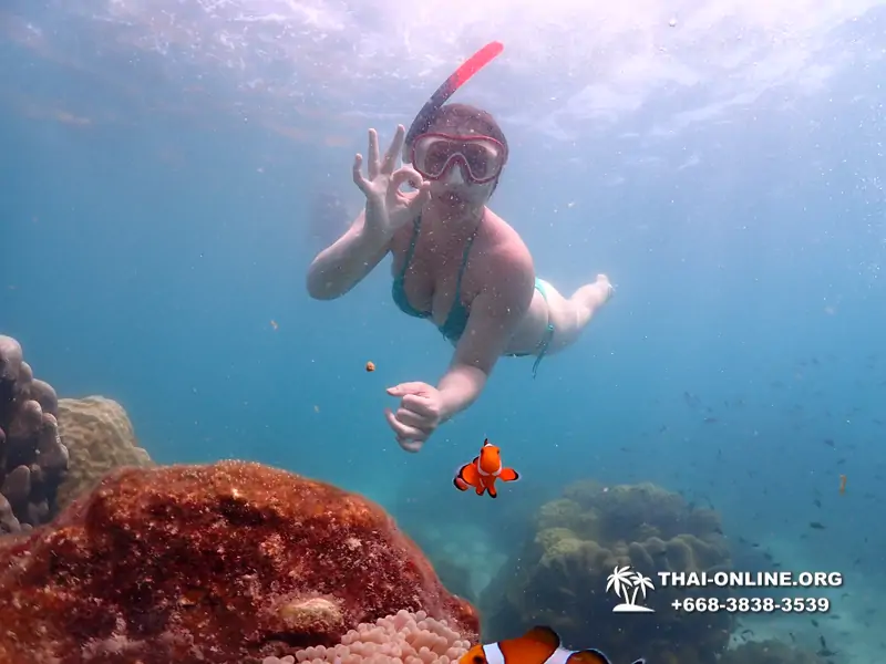 Pattaya snorkeling tour Underwater Odyssey at Samae San Archipelago in Thailand - photo 7