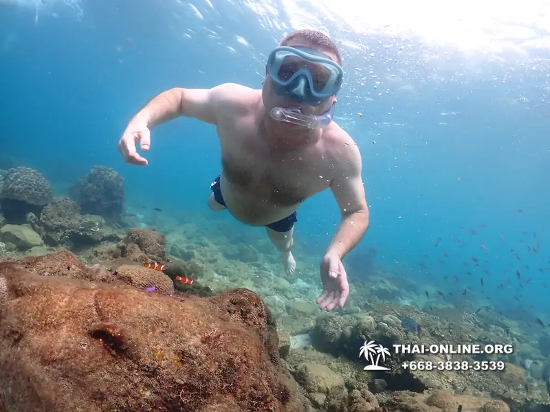 Underwater Odyssey snorkeling excursion Pattaya Thailand photo 11443