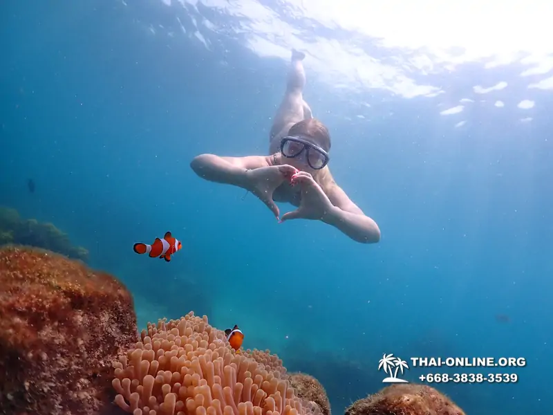 Underwater Odyssey snorkeling excursion in Pattaya Thailand photo 1040