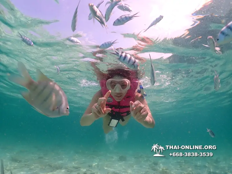 Underwater Odyssey snorkeling tour from Pattaya Thailand photo 18395