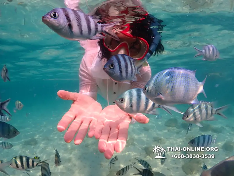 Underwater Odyssey snorkeling tour from Pattaya Thailand photo 14268