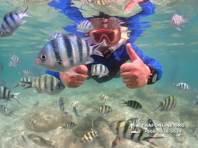 Underwater Odyssey snorkeling excursion Pattaya Thailand photo 14832