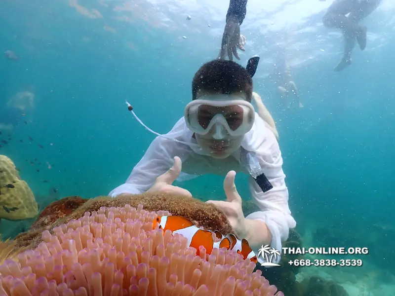 Underwater Odyssey snorkeling tour from Pattaya Thailand photo 18478