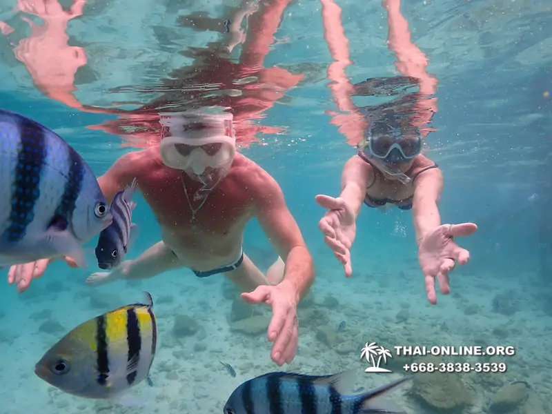 Underwater Odyssey snorkeling tour from Pattaya Thailand photo 14184