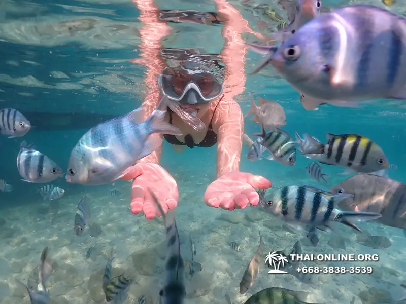 Underwater Odyssey snorkeling tour from Pattaya Thailand photo 14163