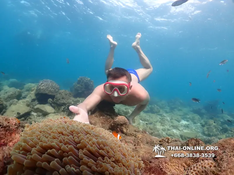 Underwater Odyssey snorkeling excursion Pattaya Thailand photo 11420