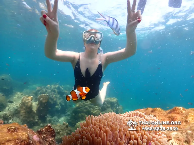 Underwater Odyssey snorkeling excursion Pattaya Thailand photo 14208