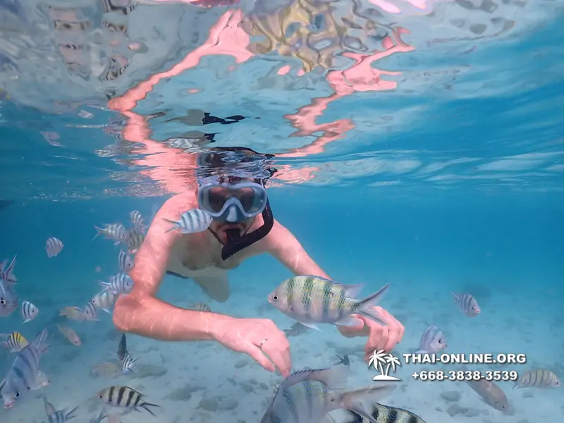 Underwater Odyssey snorkeling excursion Pattaya Thailand photo 11057