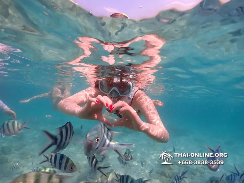 Underwater Odyssey snorkeling tour from Pattaya Thailand photo 14430