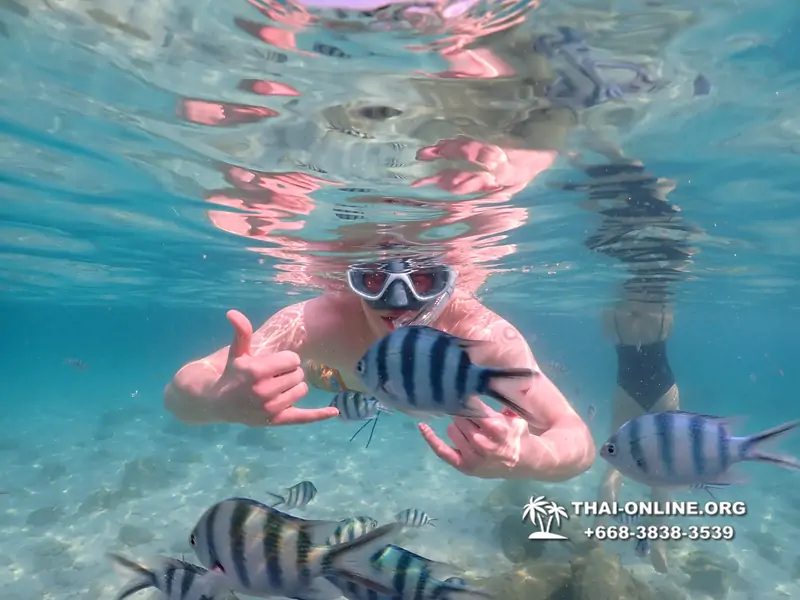 Underwater Odyssey snorkeling tour from Pattaya Thailand photo 14457