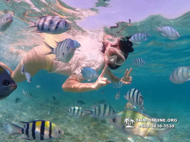 Underwater Odyssey snorkeling excursion Pattaya Thailand photo 11256