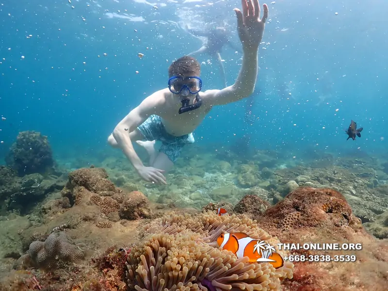 Underwater Odyssey snorkeling excursion Pattaya Thailand photo 11328