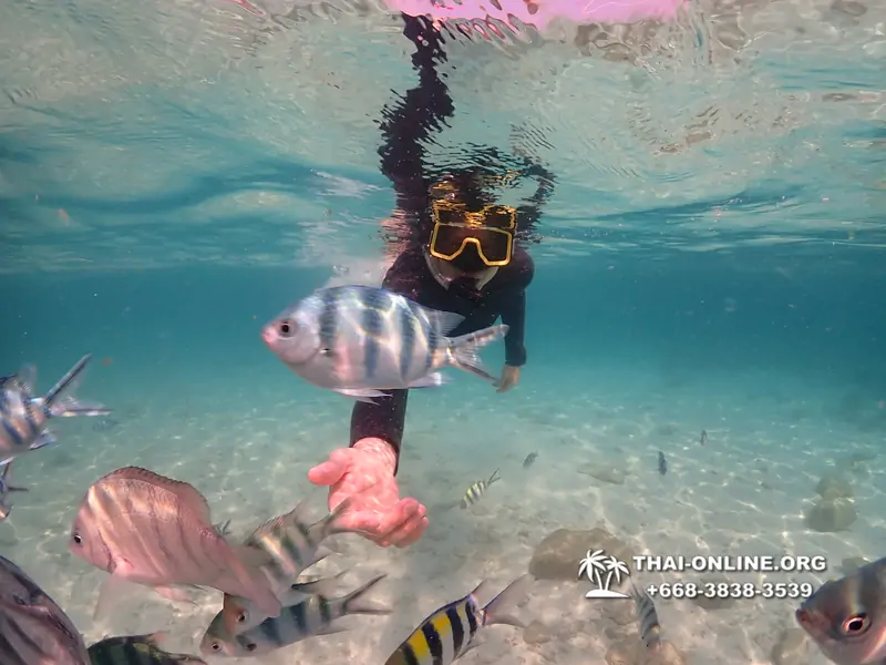 Underwater Odyssey snorkeling tour from Pattaya Thailand photo 14425