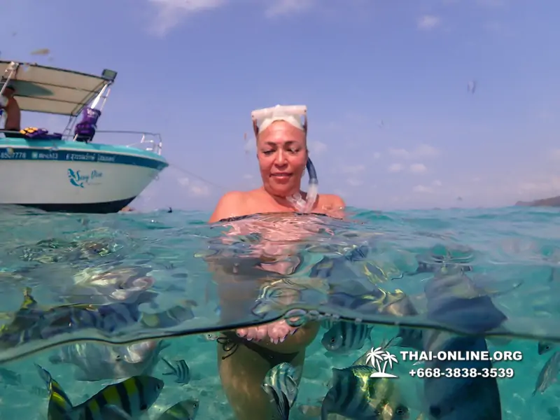 Underwater Odyssey snorkeling excursion Pattaya Thailand photo 11315