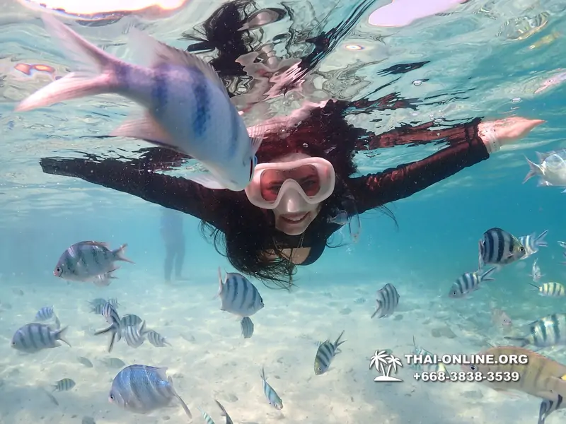 Underwater Odyssey snorkeling excursion Pattaya Thailand photo 11221