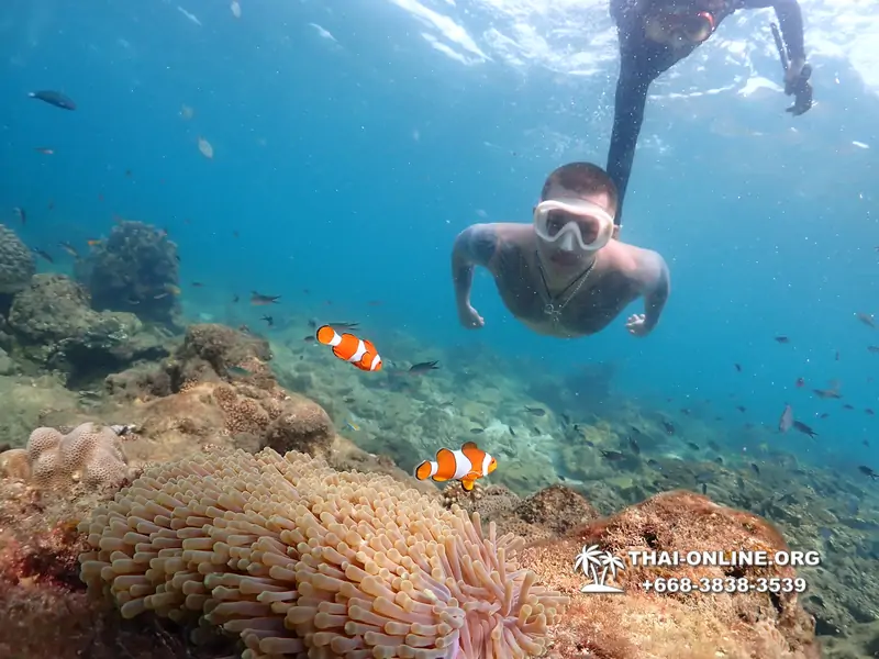 Underwater Odyssey snorkeling excursion Pattaya Thailand photo 11454
