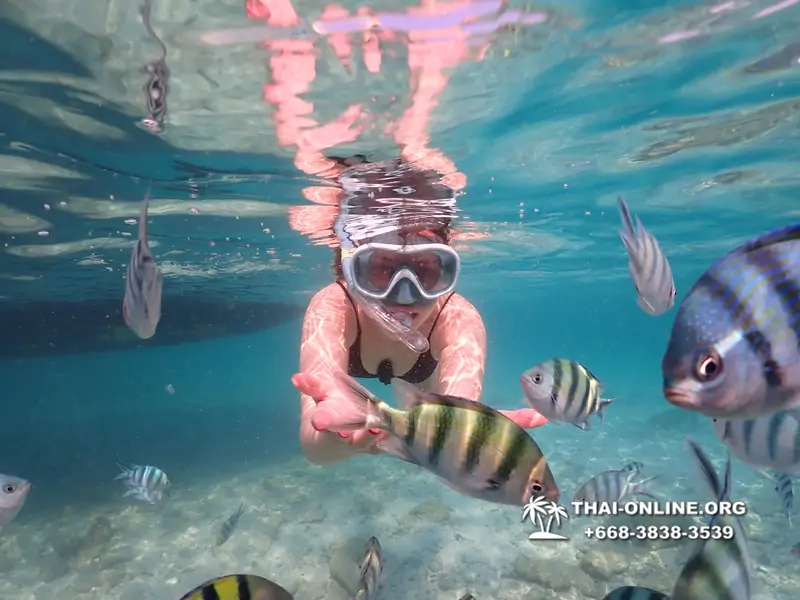 Underwater Odyssey snorkeling tour from Pattaya Thailand photo 14325