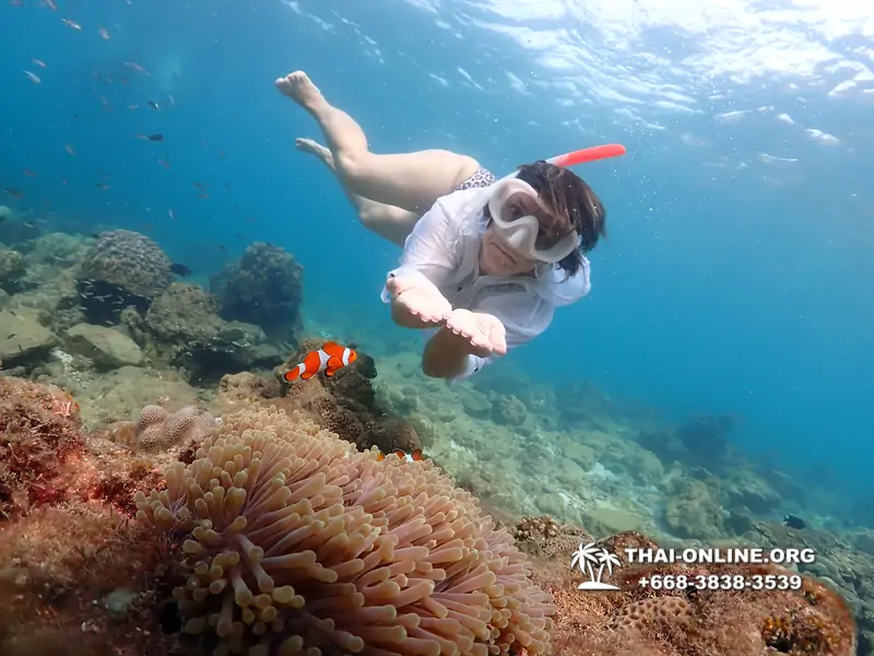 Underwater Odyssey snorkeling excursion Pattaya Thailand photo 11392