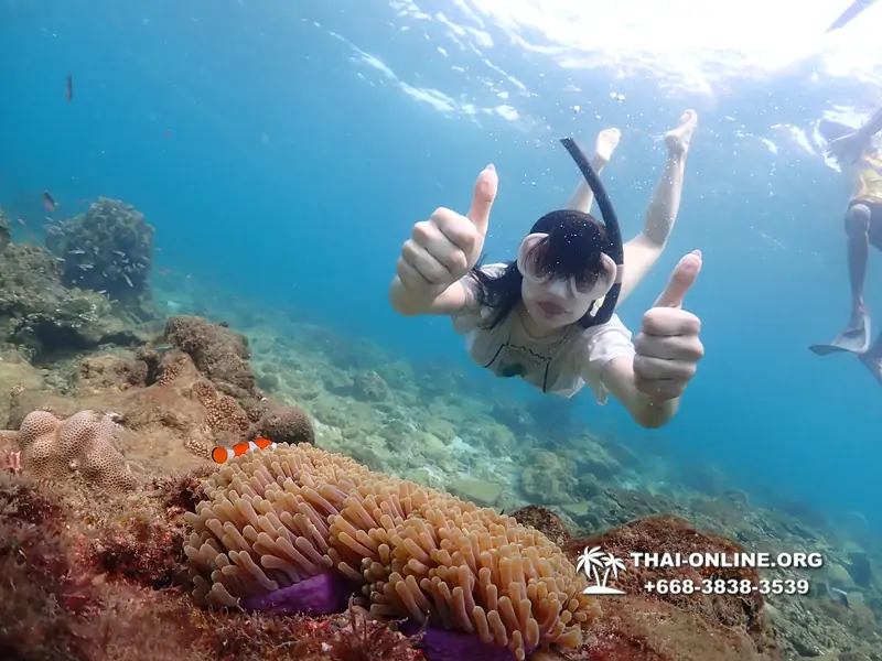 Underwater Odyssey snorkeling excursion Pattaya Thailand photo 11398