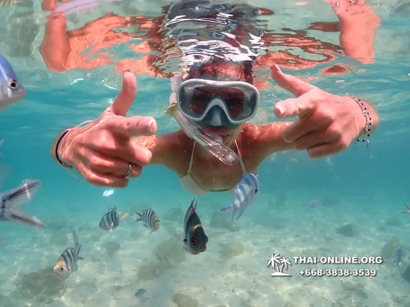 Underwater Odyssey snorkeling excursion Pattaya Thailand photo 14209