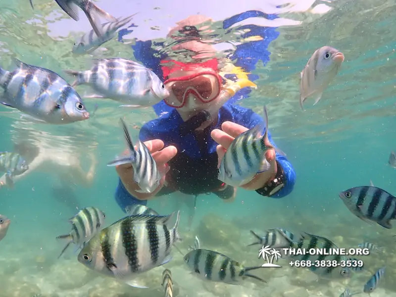 Underwater Odyssey snorkeling excursion Pattaya Thailand photo 14870