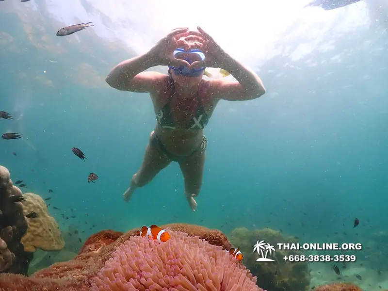 Underwater Odyssey snorkeling tour from Pattaya Thailand photo 18764
