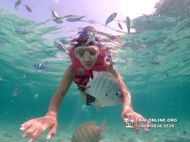 Underwater Odyssey snorkeling tour from Pattaya Thailand photo 18344