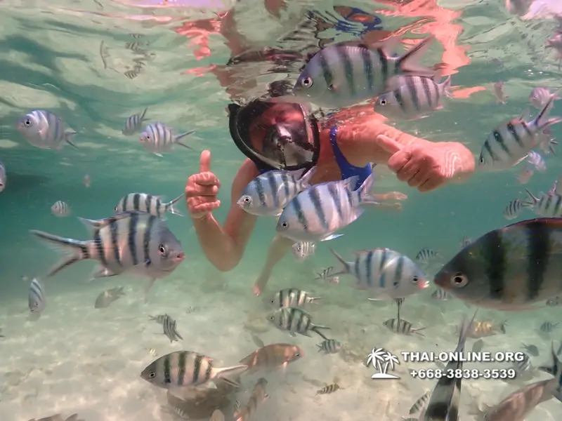 Underwater Odyssey snorkeling tour from Pattaya Thailand photo 18336