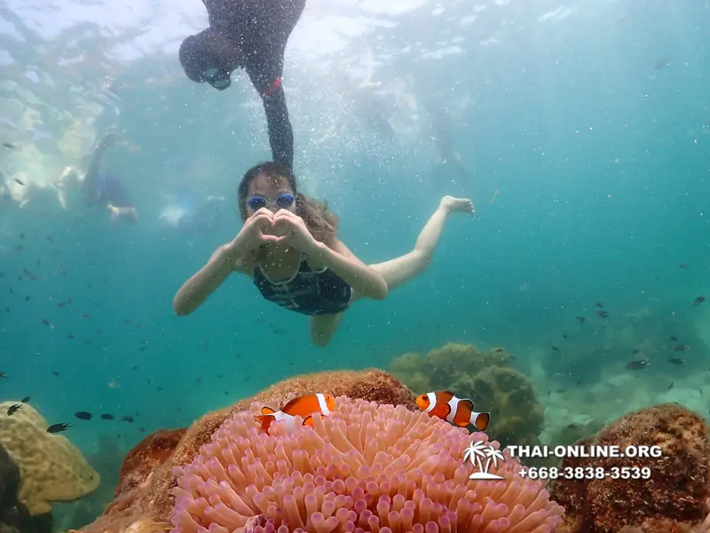 Underwater Odyssey snorkeling tour from Pattaya Thailand photo 18326