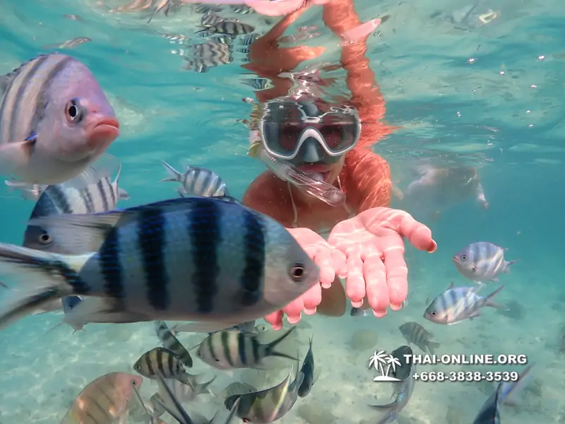 Underwater Odyssey snorkeling tour from Pattaya Thailand photo 14360