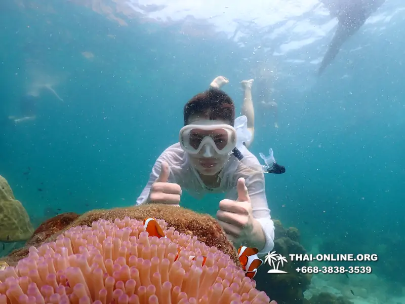 Underwater Odyssey snorkeling tour from Pattaya Thailand photo 18556