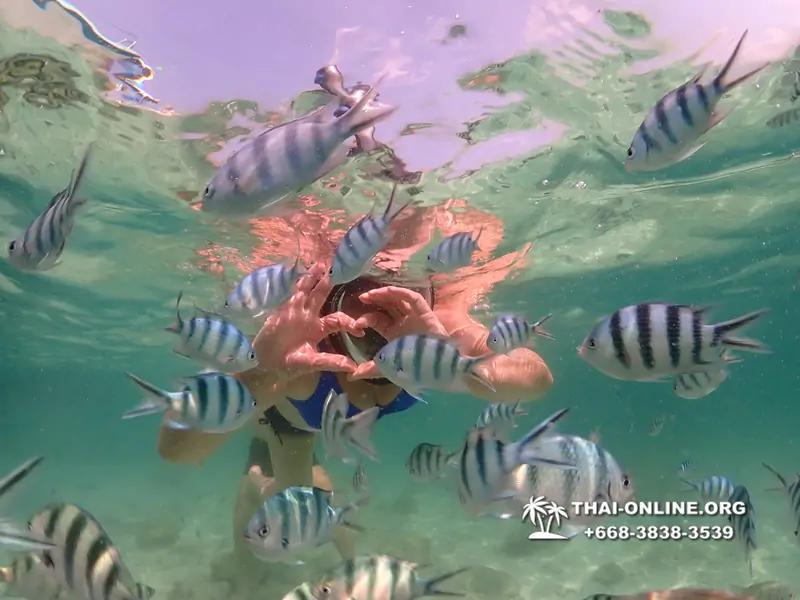 Underwater Odyssey snorkeling tour from Pattaya Thailand photo 18372