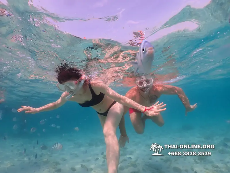 Underwater Odyssey snorkeling excursion Pattaya Thailand photo 11038