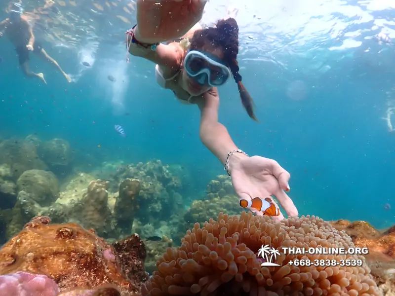 Underwater Odyssey snorkeling tour from Pattaya Thailand photo 14288