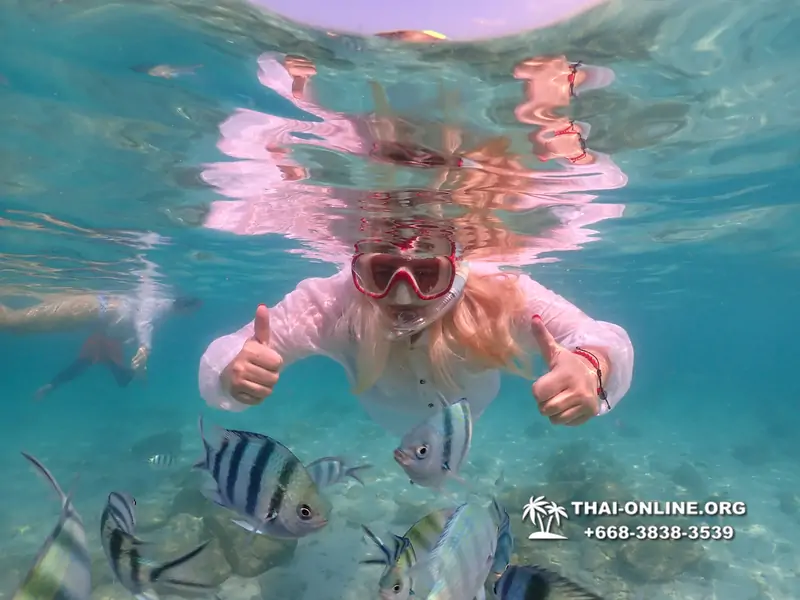 Underwater Odyssey snorkeling tour from Pattaya Thailand photo 14527